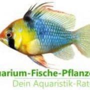 (c) Aquarium-fische-pflanzen.de